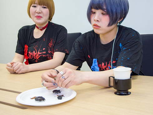 かみつき！MAD-DOG カブトムシ 地下アイドル