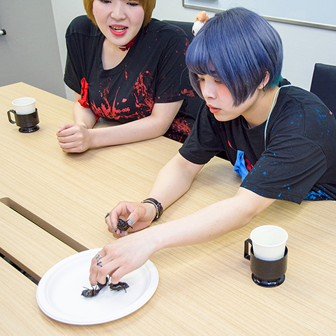 かみつき！MAD-DOG カブトムシ 地下アイドル