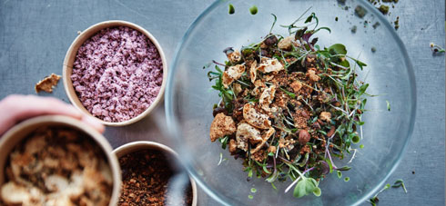 昆虫や藻が原料のファストフード　IKEAのラボが提案する食の未来がイノベーティブすぎる