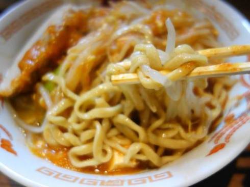 火の豚 フュージョン