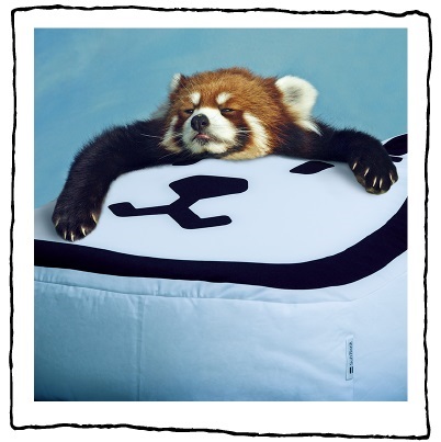 お父さんとあそぼ