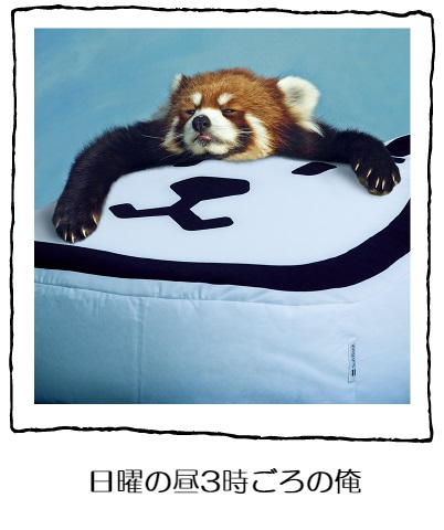 お父さんとあそぼ