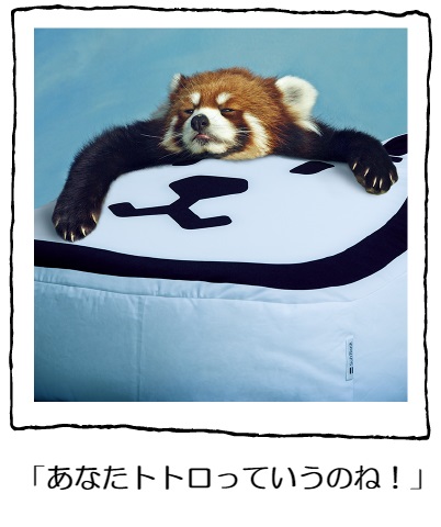 お父さんとあそぼ