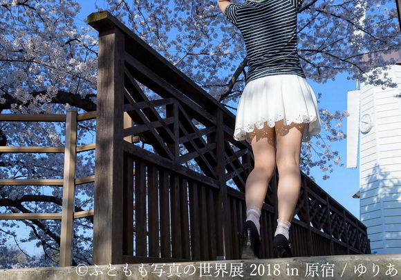 ふともも写真の世界展