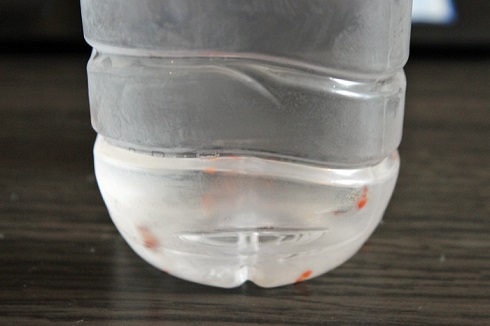 月ノ美兎 クリオネ