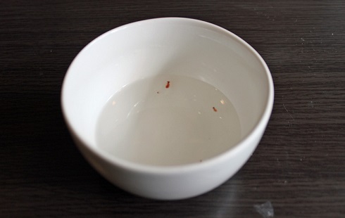 月ノ美兎 クリオネ