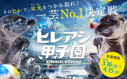 ヒレアシ甲子園中間速報