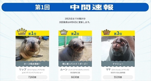 ヒレアシ甲子園中間速報