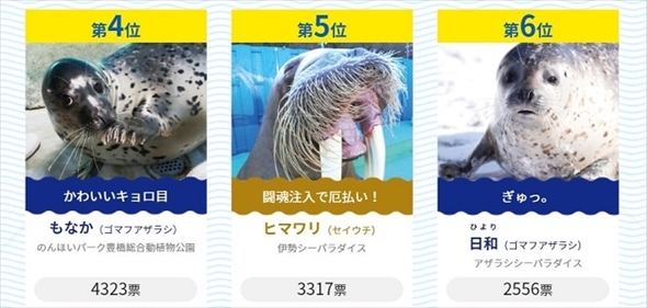 ヒレアシ甲子園中間速報