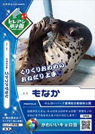 ヒレアシ甲子園中間速報