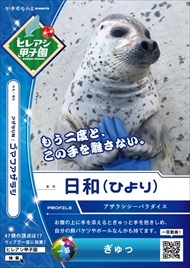 ヒレアシ甲子園中間速報