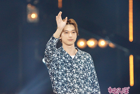 TGC 桜井日奈子 吉沢亮