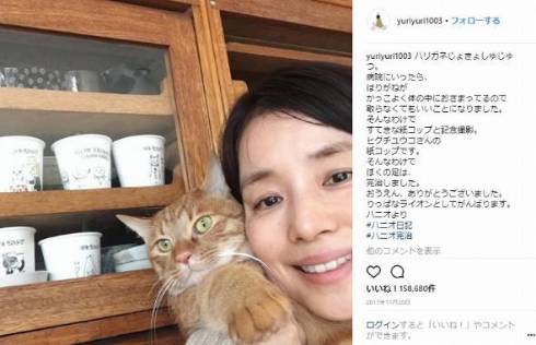 石田ゆり子 ハニオ タビ 猫 ペット 監視カメラ インスタ