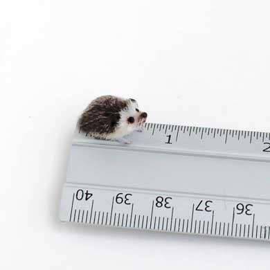 動物 ミニチュア 鳥 ハリネズミ うさぎ 1/12 スケール