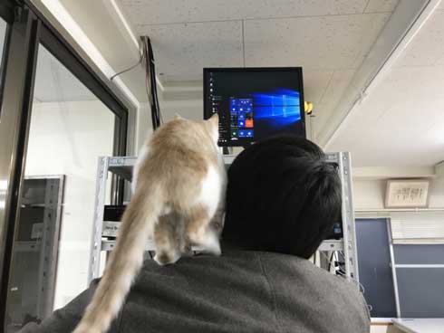 同人誌印刷会社 しまや出版 猫 採用 新人 きなり