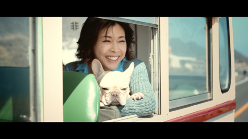 竹内結子 草なぎ剛 愛犬 くるみ キヤノン CMデビュー