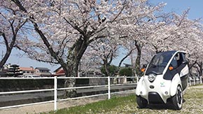 カーシェア トヨタ タイムズ C-HR