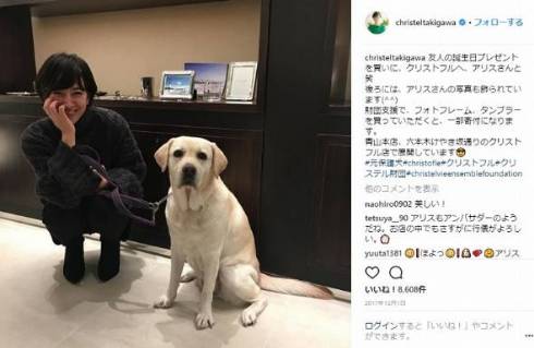 滝川英治 弱虫ペダル 転倒事故 脊髄損傷 滝川クリステル いとこ 犬 アリス