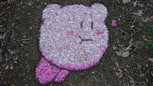 桜カービィの写真