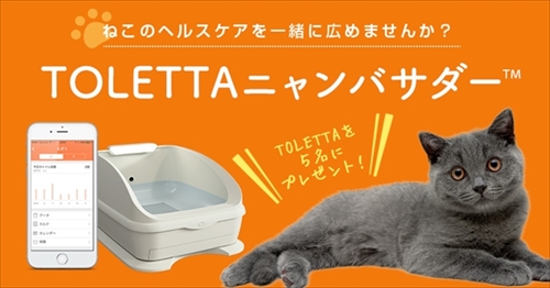 TOLETTAニャンバサダー募集