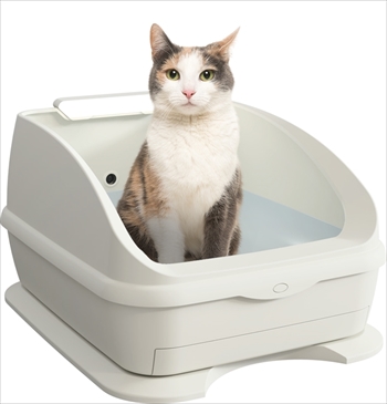 TOLETTAニャンバサダー募集