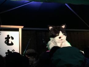 むぎ（猫）　展示会　猫　ネコ　アーティスト　ミュージシャン　天国帰り　ビームス　BEAMS