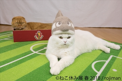 ねこ休み展・名古屋