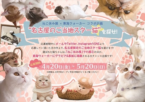 ねこ休み展・名古屋