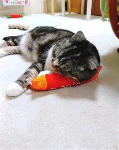 なめネコれおくんピーチくん