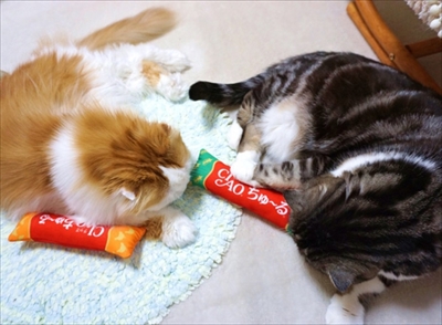 なめネコれおくんピーチくん