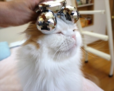 なめネコれおくんピーチくん