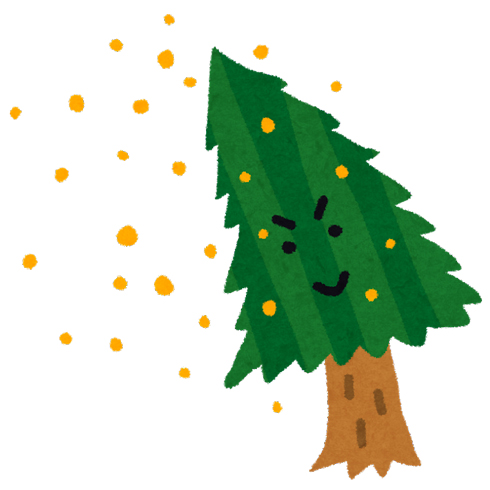 花粉の飛散量はどうして毎年、毎日変わるの？