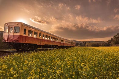 小湊鐵道 菜の花畑 春 養老渓谷 里山トロッコ列車