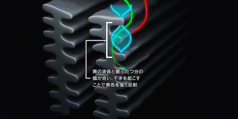 LEXUS モルフォ蝶 トヨタ レクサスLC