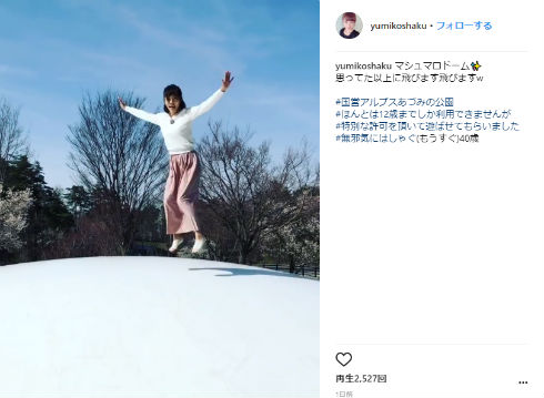 釈由美子 長野県 バッタソフト イナゴ ソフトクリーム 松本市 安曇野市 諏訪湖