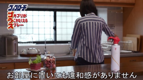 KINCHO コックローチ ゴキブリ パッケージ