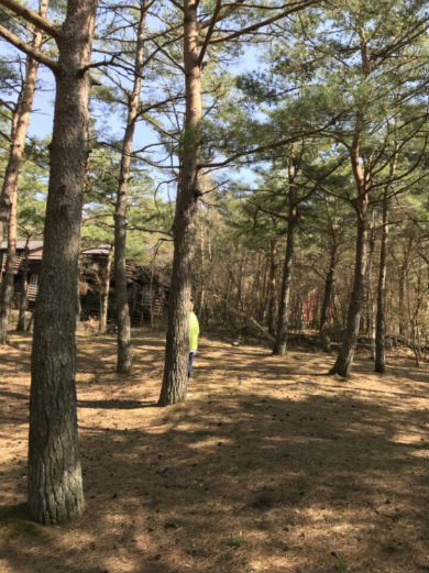 中川大志 俳優 かくれんぼ 自然 パーカー 釣り