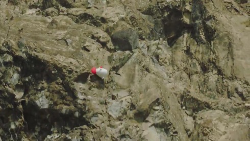 チキンラーメン ひよこちゃん ローソン からあげクン バースデー