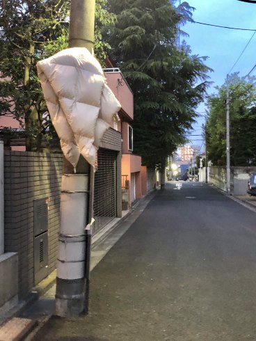 布団が吹っ飛んだ