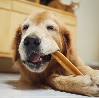 マオさんハニーくん