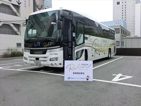 ドリームルリエ