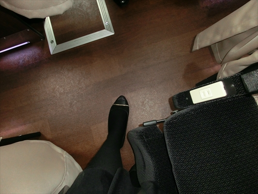 ドリームルリエ