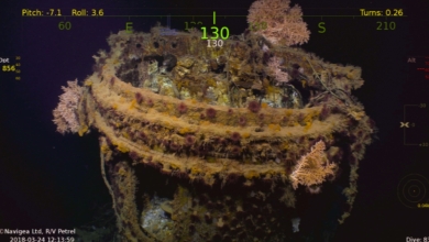 ポールアレン ヘレナ 発見