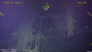 ポールアレン ヘレナ 発見