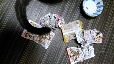 荒ぶる猫ちゃん