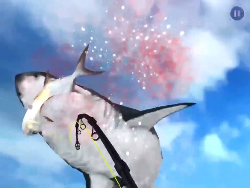 フィッシングストライク ネットマーブル 釣り ホホジロザメ