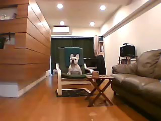 ペット用カメラ