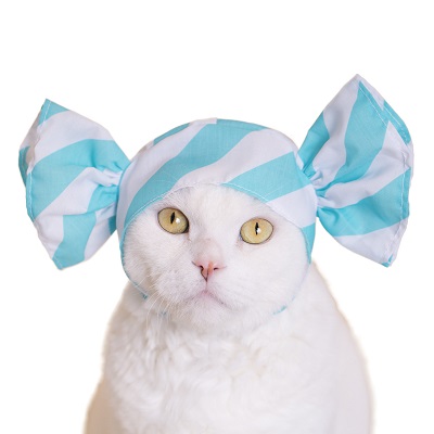 ねこキャンディ