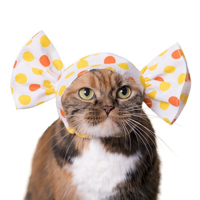 ねこキャンディ