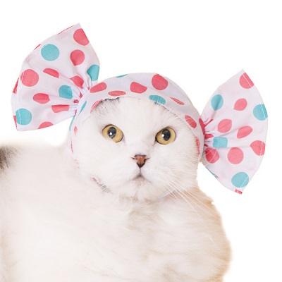 ねこキャンディ